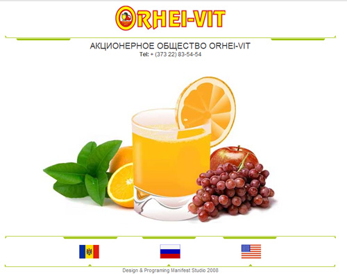 orhei-vit.com